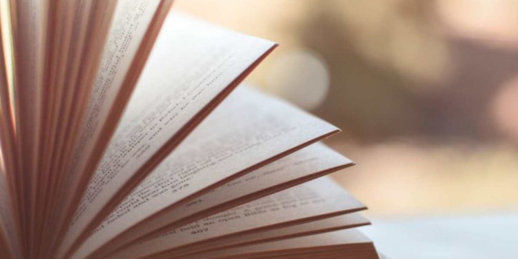 “Il sole spezzato” di Adele Dentice. Ahimè la pazzia!