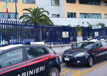 Cane investito a Dentecane