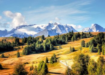 Vacanze con i bambini: perché preferire un family hotel in Trentino