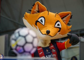 Feldi Eboli: Stagione conclusa, testa al 2020/21: Di Domenico: Tutti uniti