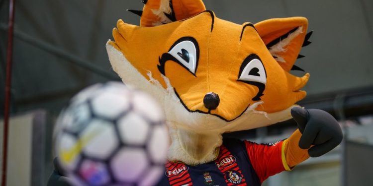 Feldi Eboli: Stagione conclusa, testa al 2020/21: Di Domenico: Tutti uniti