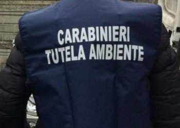 Inquinamento ambientale. Denunciati titolari aziende conciarie di Solofra