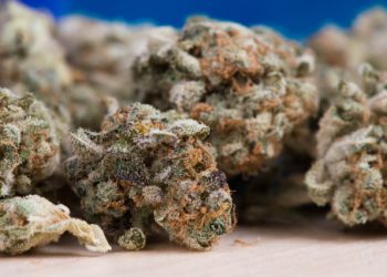 Come acquistare canapa legale online a scanso di equivoci