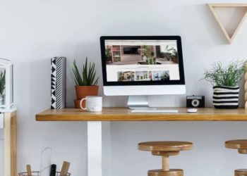 6 Piante Adatte Per Arredare Un Ufficio