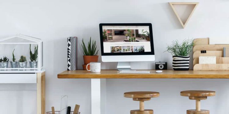 6 Piante Adatte Per Arredare Un Ufficio