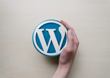 Come velocizzare un sito WordPress