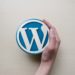 Come velocizzare un sito WordPress