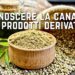 Conoscere la canapa e i prodotti derivati: un vantaggio per la salute e per l’ambiente