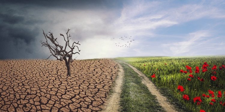 il COVID-19 ha ridotto l’inquinamento ma non ha fermato i cambiamenti climatici