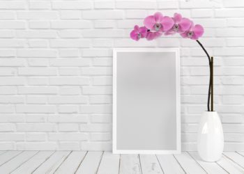 7 piante che aiutano a purificare l’ambiente