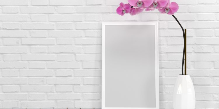 7 piante che aiutano a purificare l’ambiente