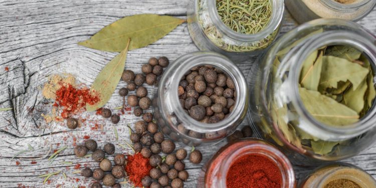 Come conservare i cibi durante un viaggio