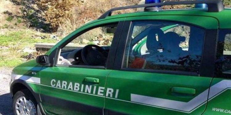 Ambiente: controlli dei CC Forestali in Campania