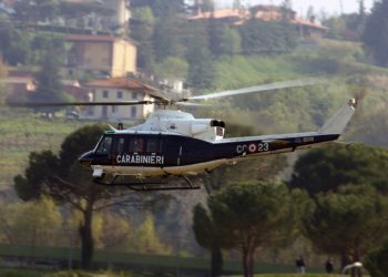 Attività dei Carabinieri Forestali a difesa dei boschi e nella gestione del verde pubblico