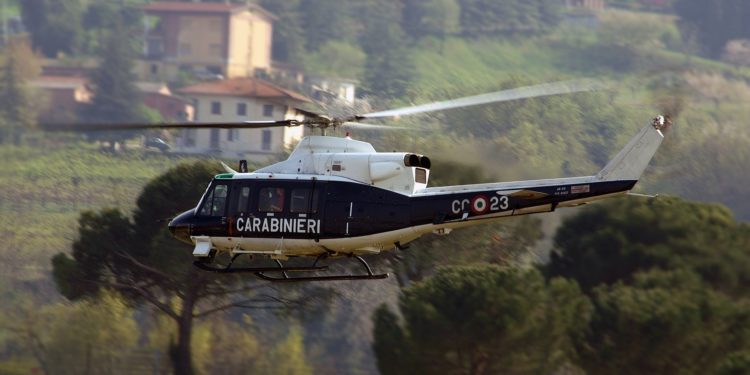 Attività dei Carabinieri Forestali a difesa dei boschi e nella gestione del verde pubblico