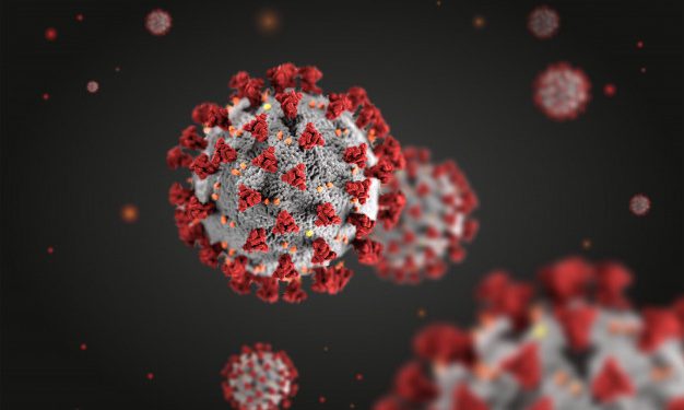 Indagine epidemiologica sul Covid-19, effettuati quasi 1.200 test sierologici