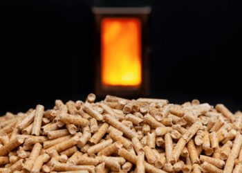 Riscalda il tuo inverno con le stufe a pellet: tra funzionalità e design