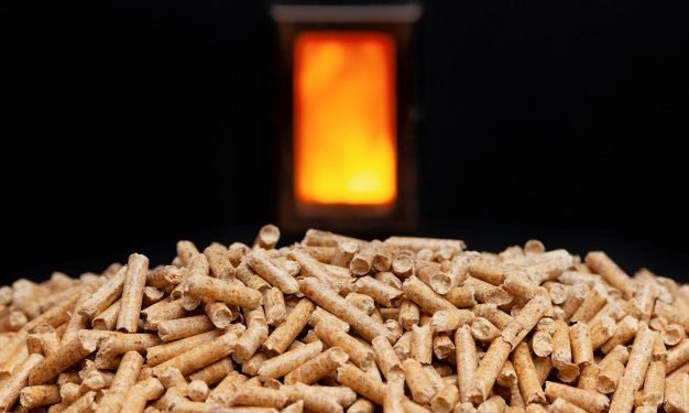Riscalda il tuo inverno con le stufe a pellet: tra funzionalità e design