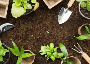 5 Strumenti necessari per la cura del tuo Giardino