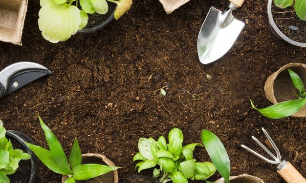 5 Strumenti necessari per la cura del tuo Giardino