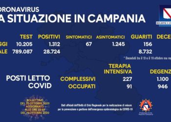 Corona Virus Campania: Totale Positivi: 28.724 i deceduti 534