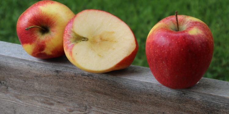 Guida ai migliori prodotti antiossidanti