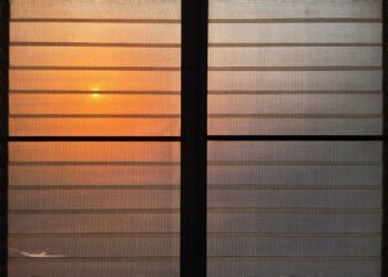 Come difendersi dalle zanzare