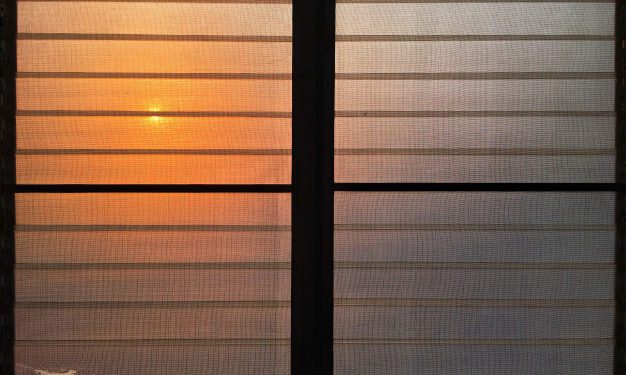 Come difendersi dalle zanzare