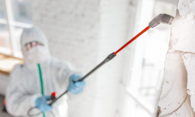 Umidità elevata, effetti e cause principali