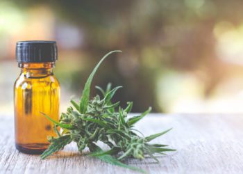 L’olio cbd: rimedio naturale per stress e ansia