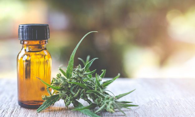 L’olio cbd: rimedio naturale per stress e ansia
