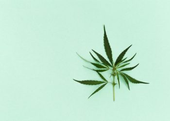 Comprare cannabis legale online: le cose che conviene sapere