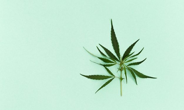 Comprare cannabis legale online: le cose che conviene sapere