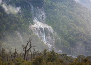 Chi erano i popoli nativi della Patagonia