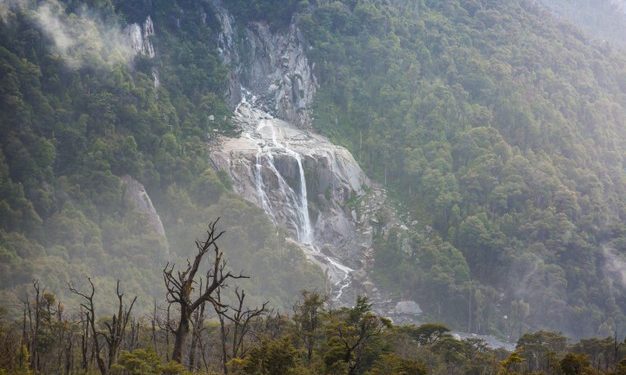 Chi erano i popoli nativi della Patagonia