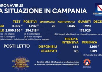 Corona Virus Campania: Totale Positivi: 254.318 i deceduti 4.141