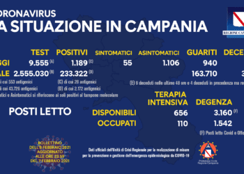 Corona Virus Campania: Totale Positivi: 233.322 i deceduti 3.904