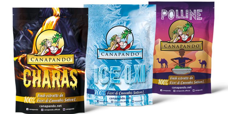 CBD Hash: cosa è l’hashish legale e come viene prodotto