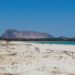 Sardegna: il “paradiso” ideale per sposarsi