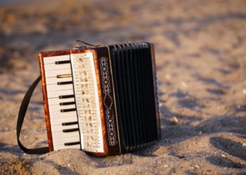 Tutto quello che c’è da sapere sulla funzionalità della fisarmonica