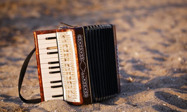 Tutto quello che c’è da sapere sulla funzionalità della fisarmonica