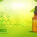 Esplorare i benefici del CBD
