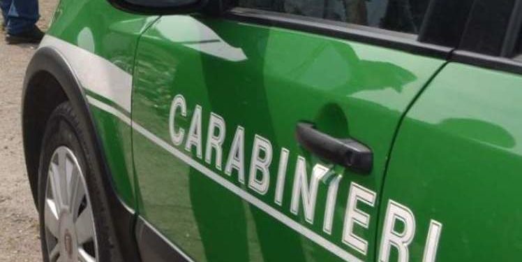 Monteforte Irpino (AV) Controlli da parte dei Carabinieri del Gruppo Forestale di Avellino: denunciate 10 persone