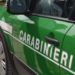Monteforte Irpino (AV) Controlli da parte dei Carabinieri del Gruppo Forestale di Avellino: denunciate 10 persone
