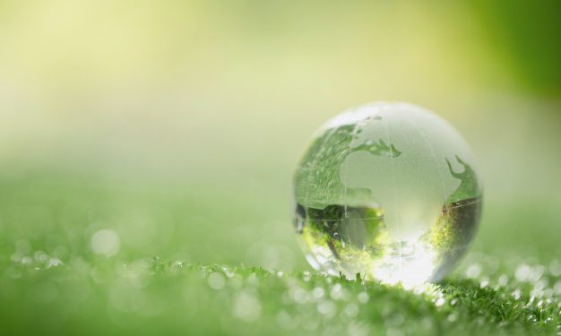 Quali sono gli obiettivi di sviluppo sostenibile ed economia circolare