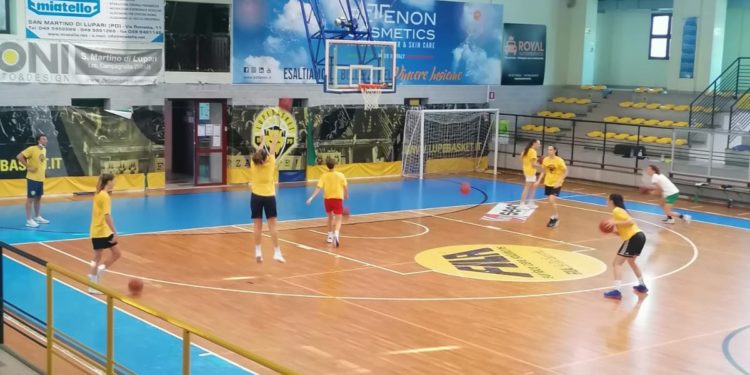 Una settimana di allenamenti al PalaLupe con ragazze provenienti da tutta Italia