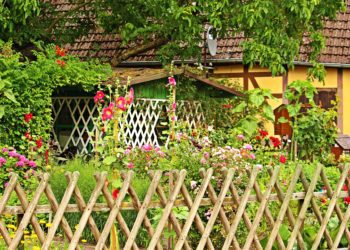 L’importanza delle recinzioni in giardino: sia per gli animali che non