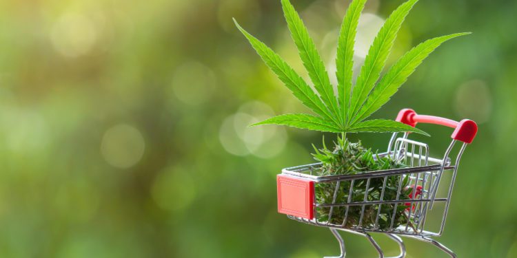 Dove comprare CBD: consigli utili