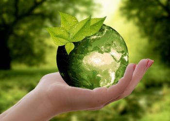 I gadget ecologici personalizzabili: come le aziende fanno la differenza
