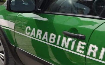 Ambiente: traffico illecito di rifiuti, arresti e sequestri